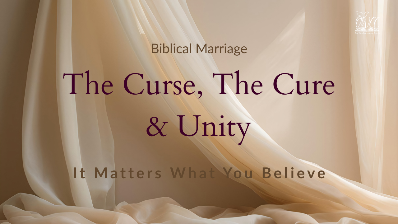 Biblical Marriage The Curse The Cure and Unity