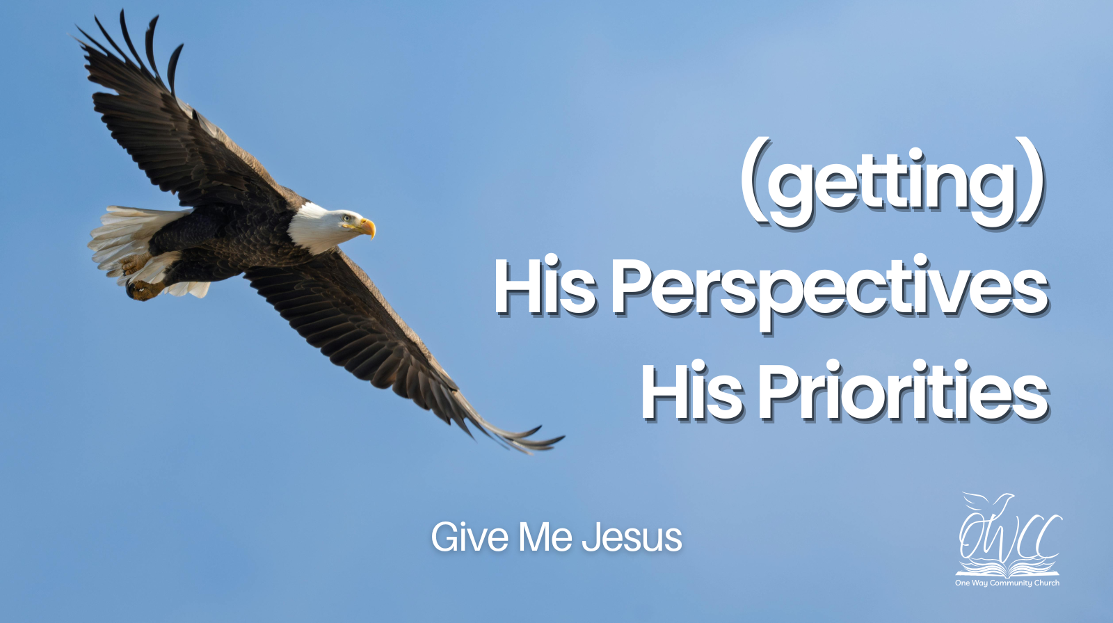 Jesus Perspectives Jesus Priorities